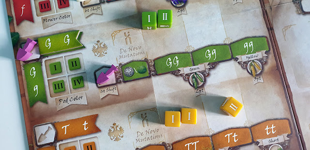 Genotype plancia di gioco