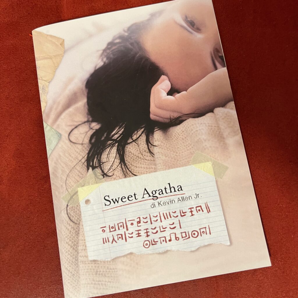 Sweet Agatha la copertina del diario