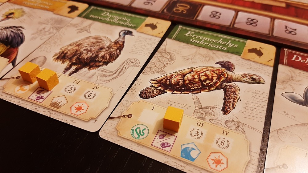 animali (encyclopedia)