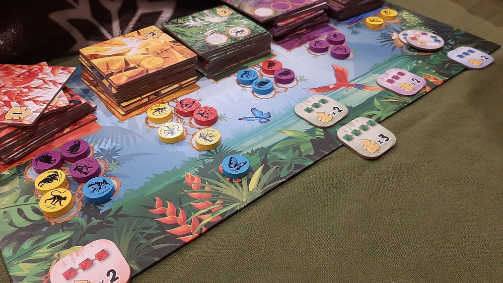 Rainforest offerta