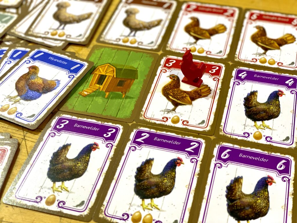 hens griglia