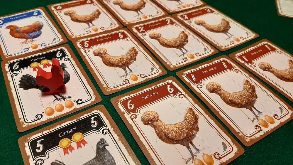 hens griglia