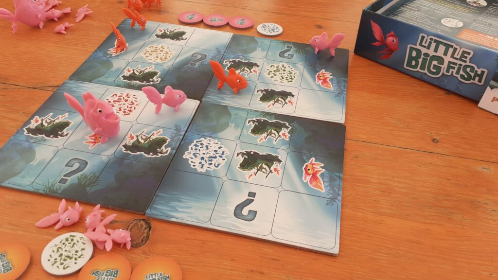 Ieri sera Little Big Fish
