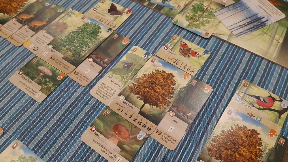 forest shuffle albero