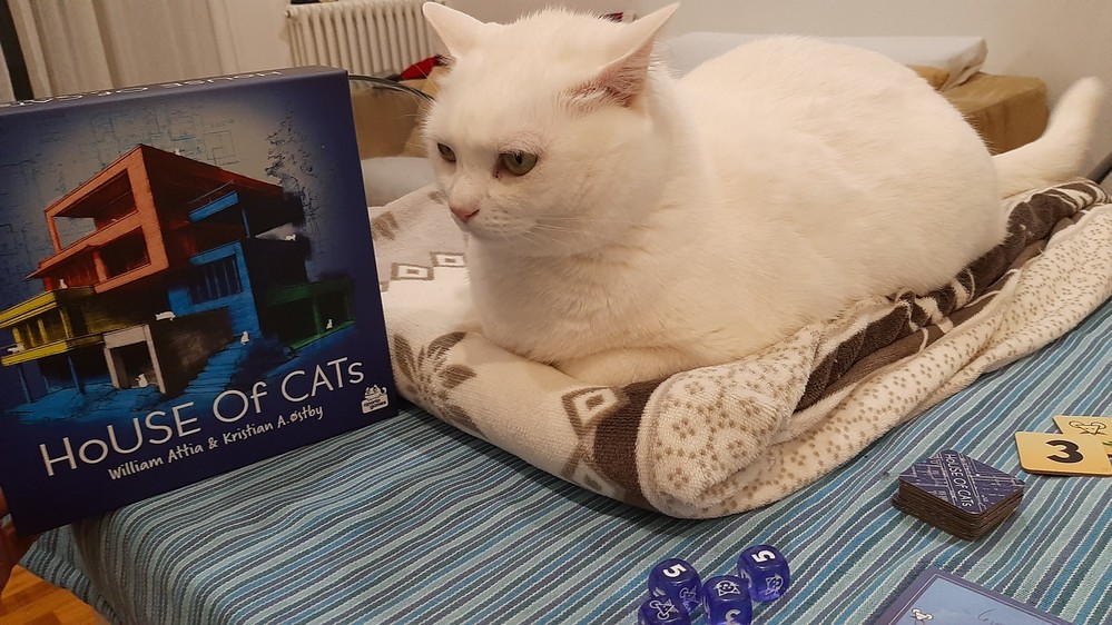gatto (non incluso)