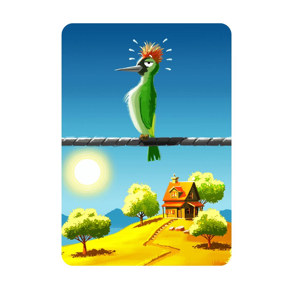 Una carta di Birdie