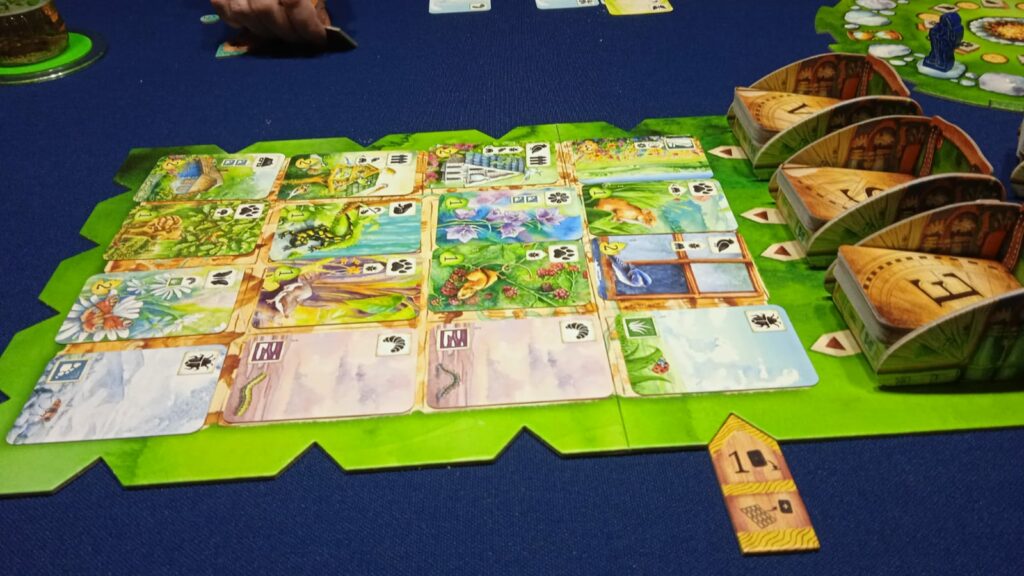 Ieri sera Meadow