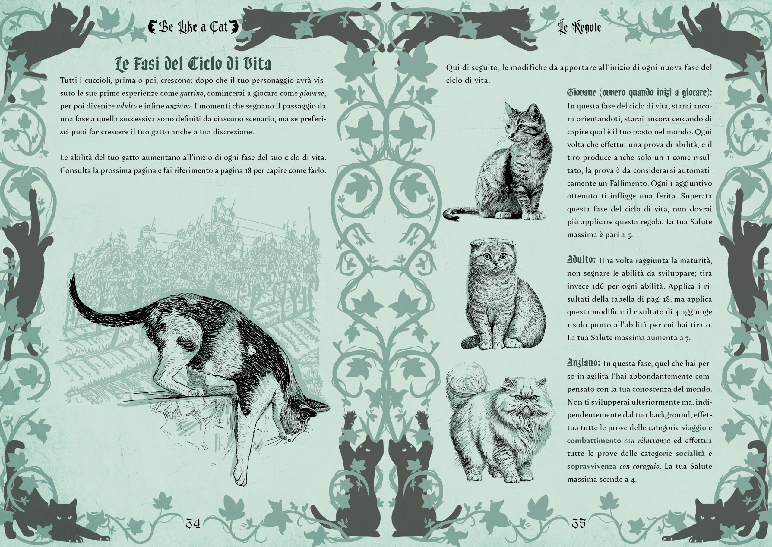 Il ciclo di Vita di Be Like a Cat
