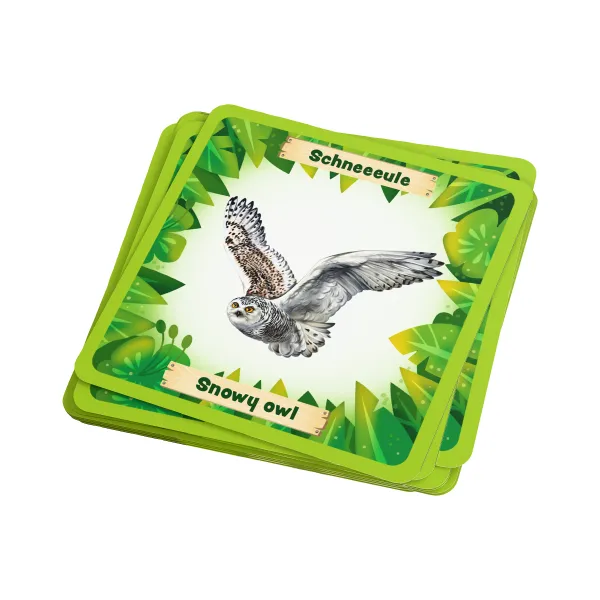 Le carte in Animals Around the World BINGO 