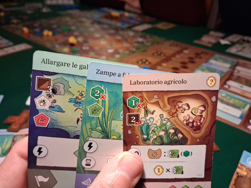 Ants carte