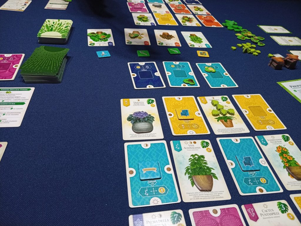 Ieri sera Verdant