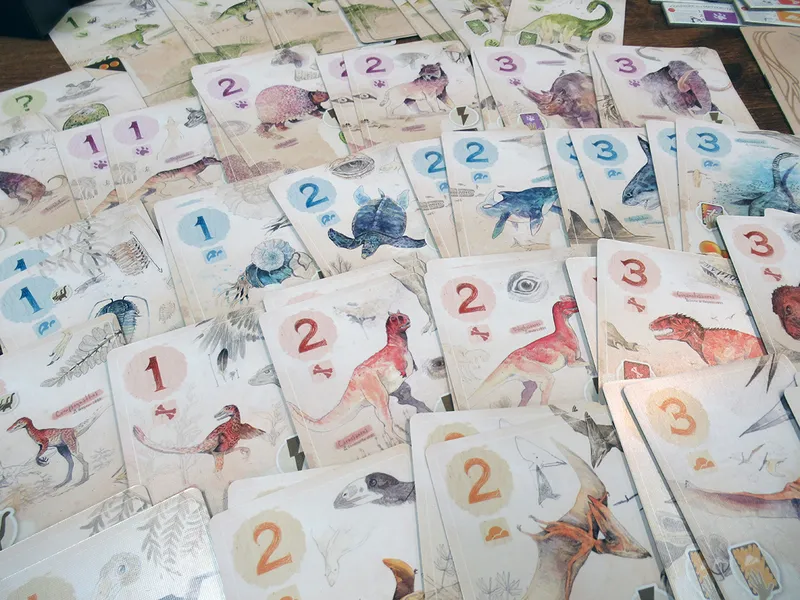 tutte le carte