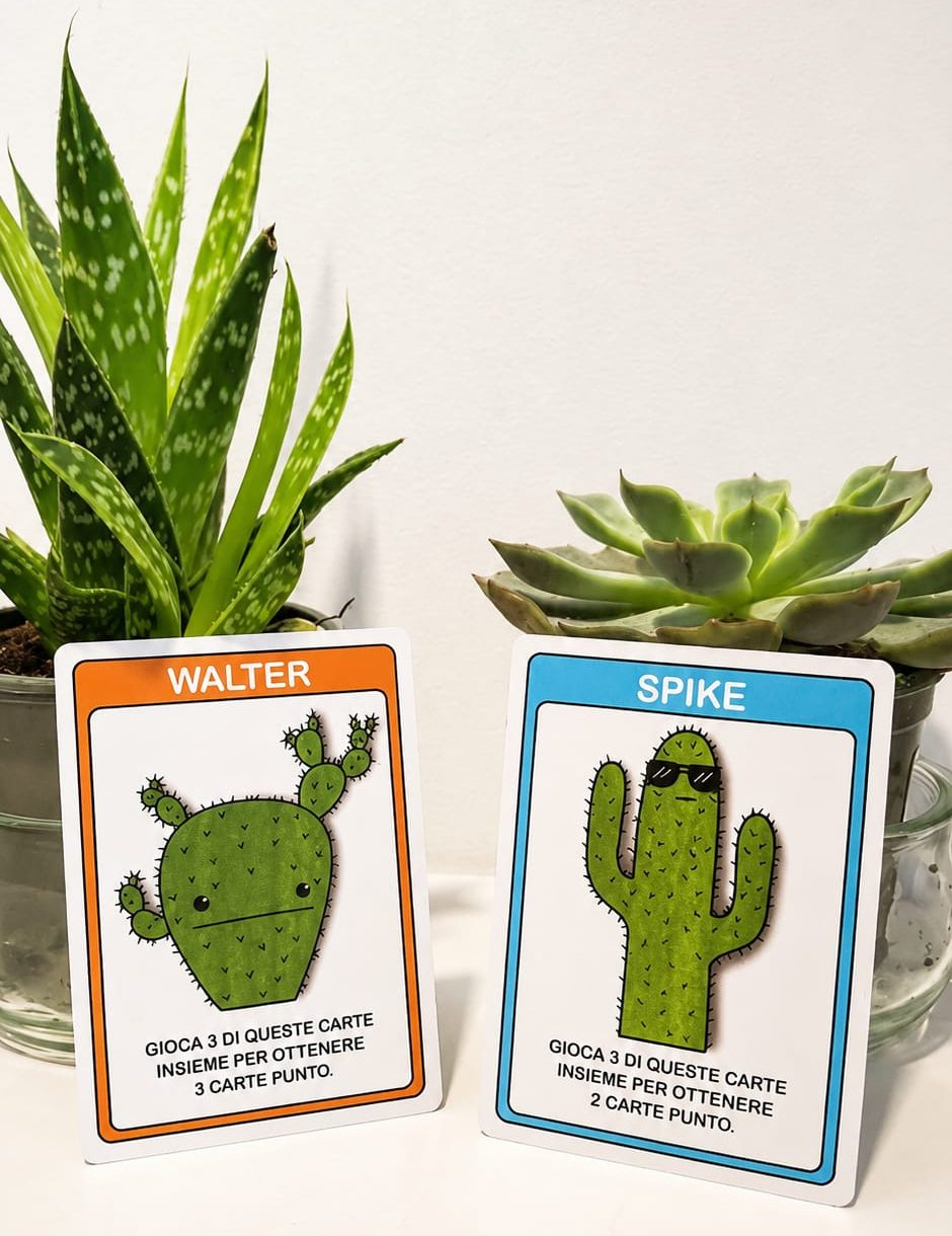Cactus giocano con cactus